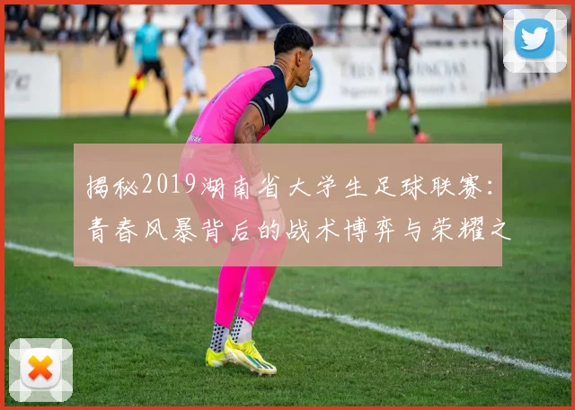 揭秘2019湖南省大学生足球联赛:青春风暴背后的战术博弈与荣耀之争