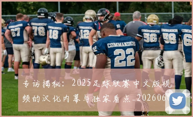 专访揭秘:2025足球联赛中文版视频的汉化内幕与独家看点_20260609201221